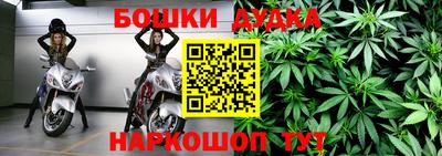 индика Комсомольск-на-Амуре