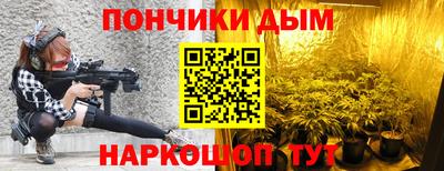 индика Комсомольск-на-Амуре