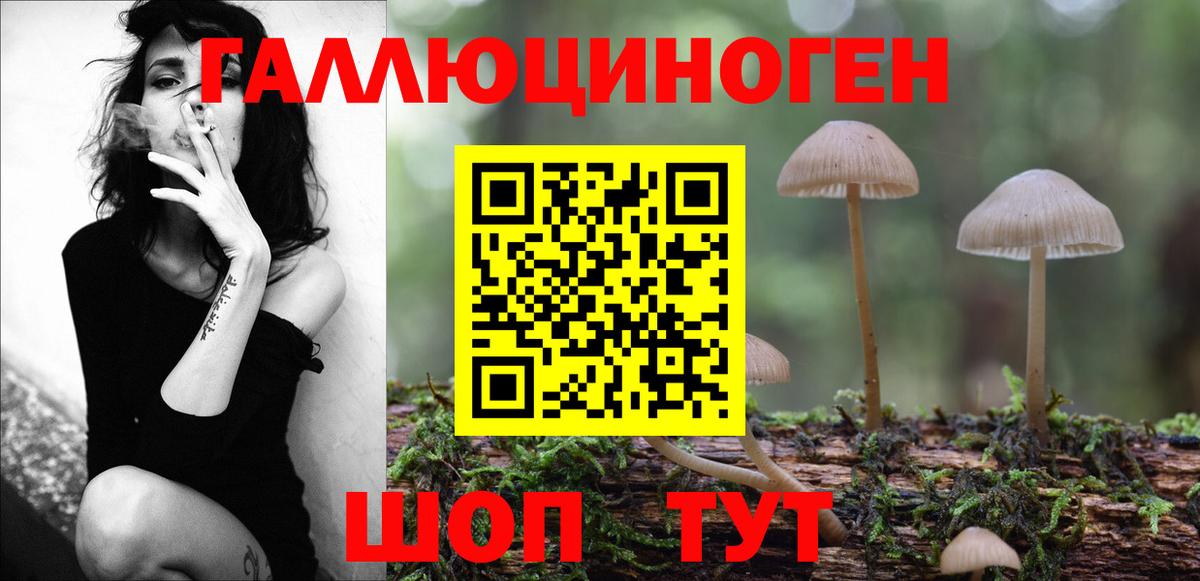 Галлюциногенные грибы Psilocybe Елабуга